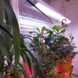 Kalendář vnitřního oběda pro 2022: příznivé a nepříznivé dny...